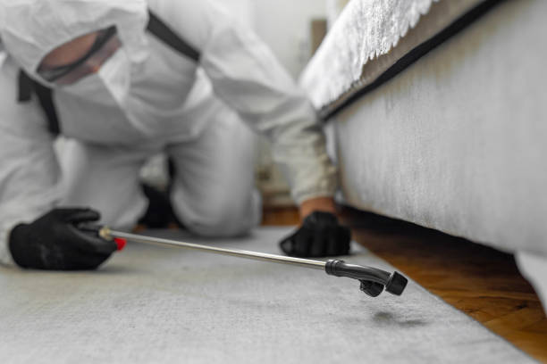 Professional Bed Bug Control technician working in Owensville, IN