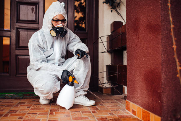 Reliable Bed Bug Control contractor in Owensville, IN by Nex Pest Control